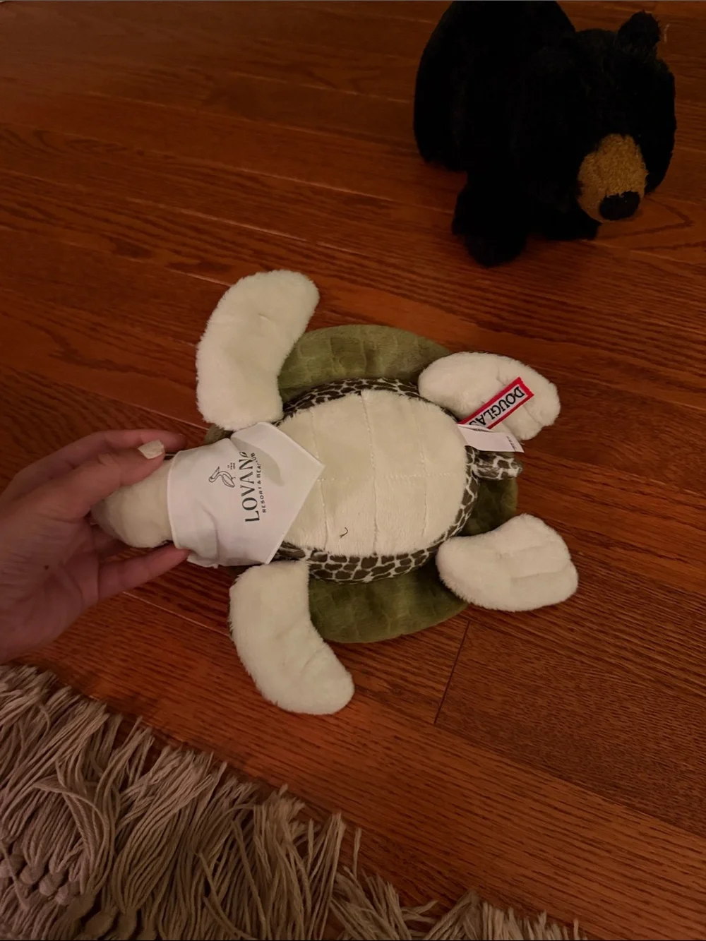 Plush Turtle and Bear Small-Pet Toy Set - Green & Black